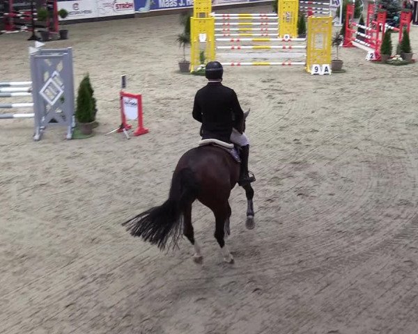 7. Nordic Jumping Event in Negernbötel 2022