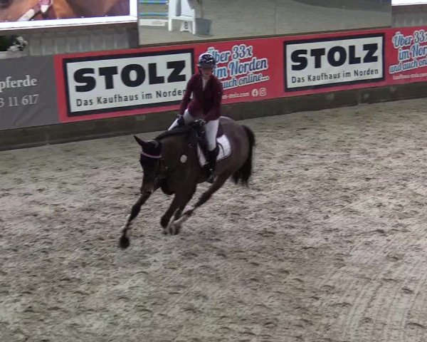 7. Nordic Jumping Event in Negernbötel 2022