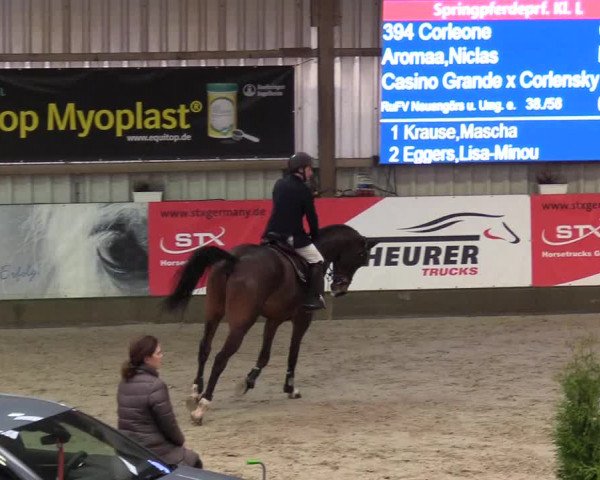 7. Nordic Jumping Event in Negernbötel 2022