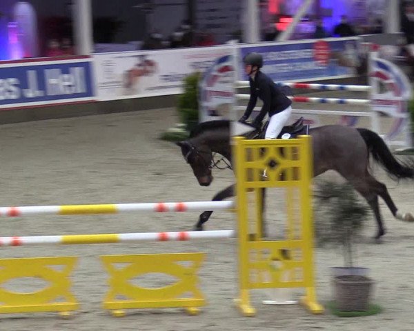 7. Nordic Jumping Event in Negernbötel 2022