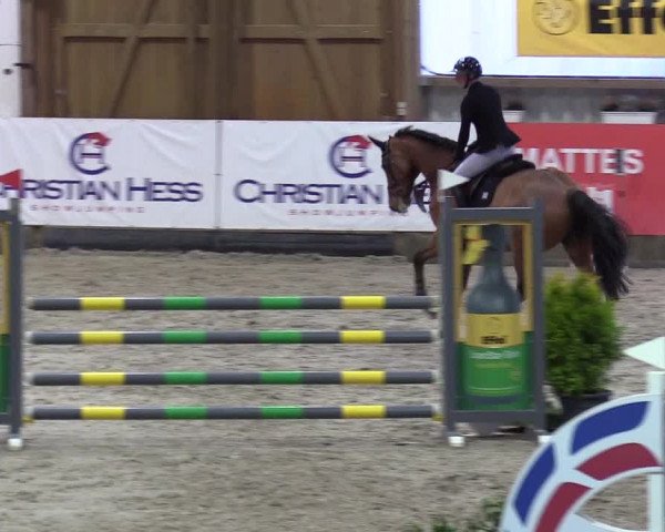 7. Nordic Jumping Event in Negernbötel 2022