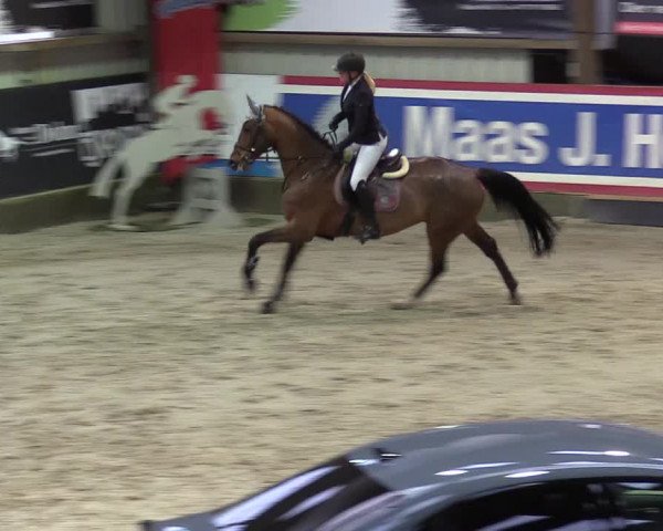 7. Nordic Jumping Event in Negernbötel 2022
