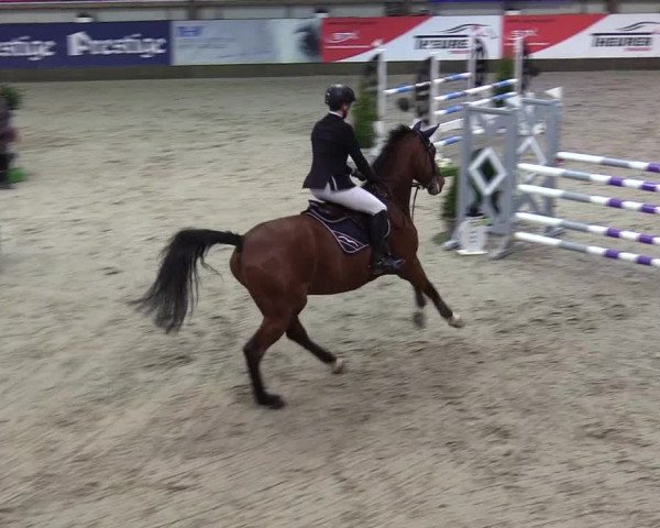 7. Nordic Jumping Event in Negernbötel 2022
