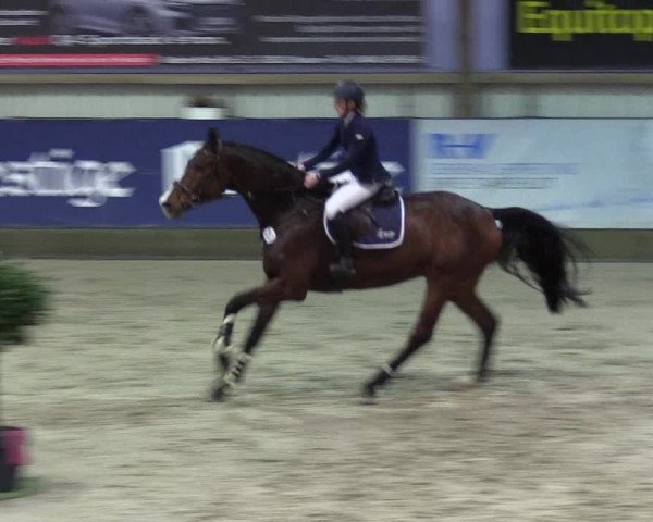7. Nordic Jumping Event in Negernbötel 2022