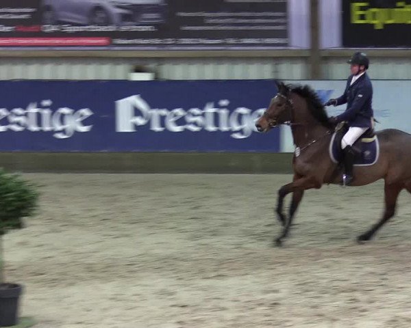 7. Nordic Jumping Event in Negernbötel 2022
