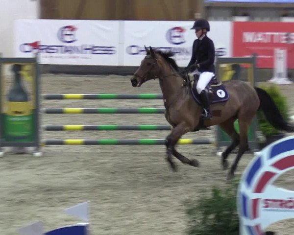 7. Nordic Jumping Event in Negernbötel 2022