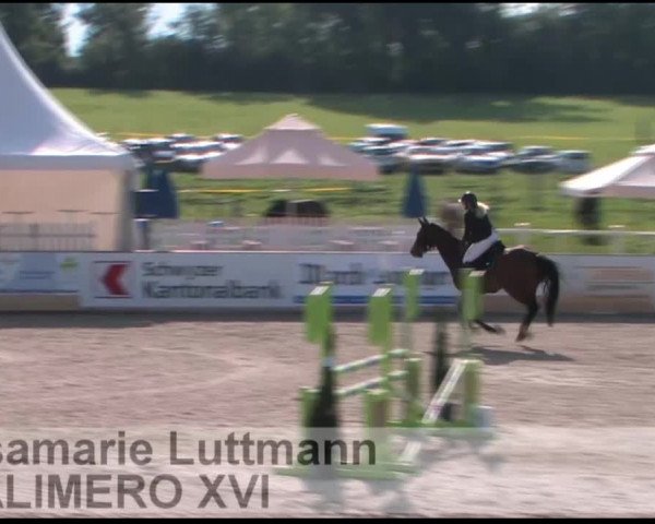 Video of Calimero 674
