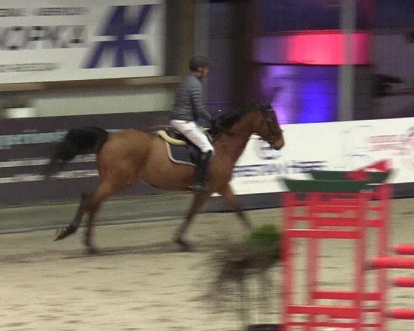 7. Nordic Jumping Event in Negernbötel 2022