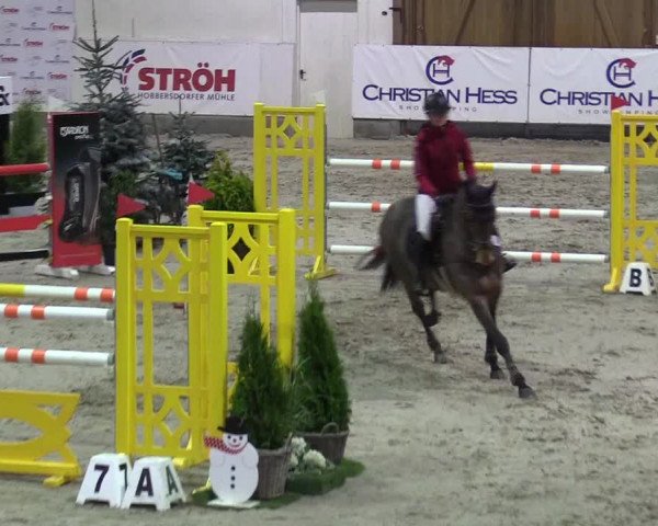 7. Nordic Jumping Event in Negernbötel 2022