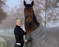 dressage horse Infinity 46 (Oldenburg, 2017, from Asgard's Ibiza)