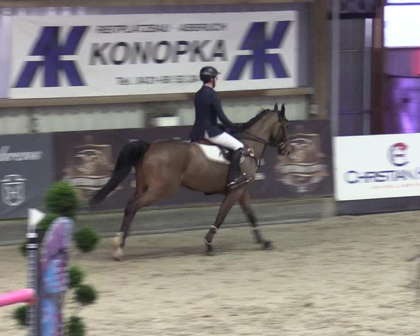 7. Nordic Jumping Event in Negernbötel 2022