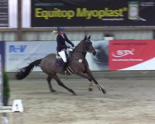 7. Nordic Jumping Event in Negernbötel 2022