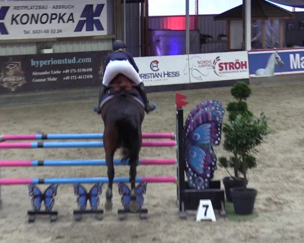 7. Nordic Jumping Event in Negernbötel 2022