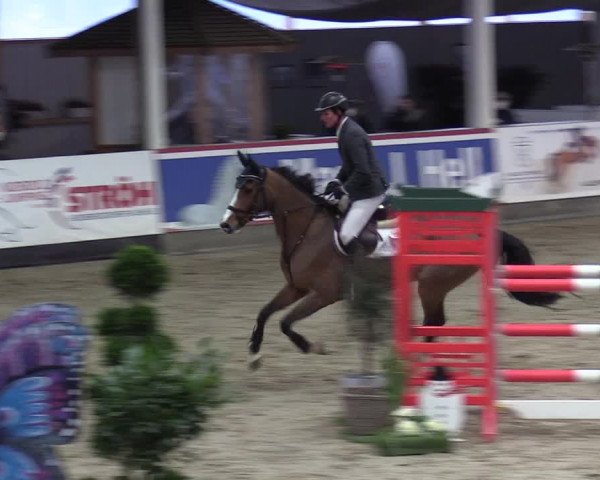 7. Nordic Jumping Event in Negernbötel 2022