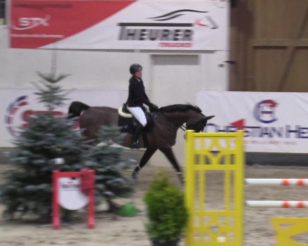7. Nordic Jumping Event in Negernbötel 2022