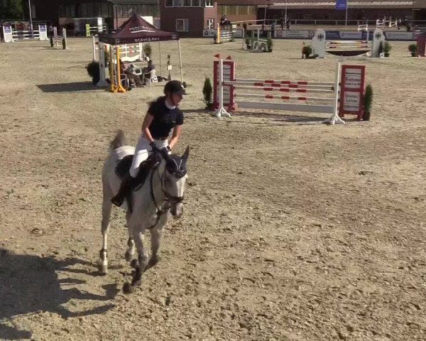 Reitturnier Wietmarschen 2018