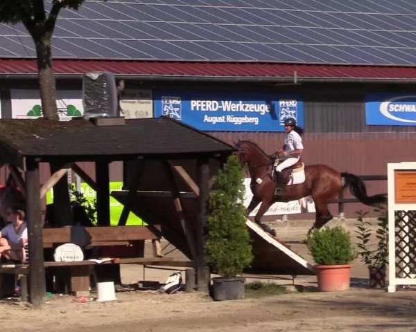 Reitturnier Marienheide-Kempershöhe 2018