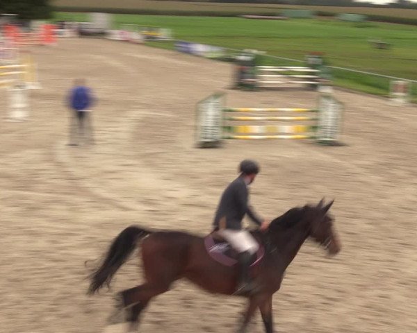 Springreitturnier Hohburg 2021