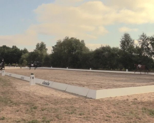 Reitturnier Wietmarschen 2018