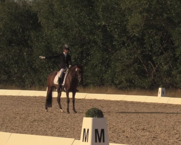 Reitturnier Wietmarschen 2018