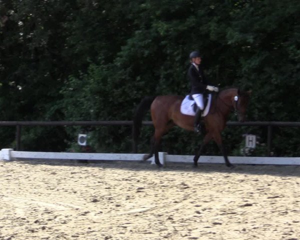 Reitturnier Marienheide-Kempershöhe 2018