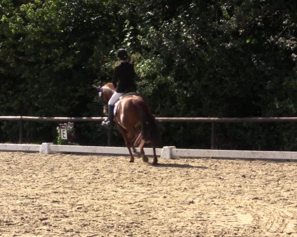 Reitturnier Marienheide-Kempershöhe 2018