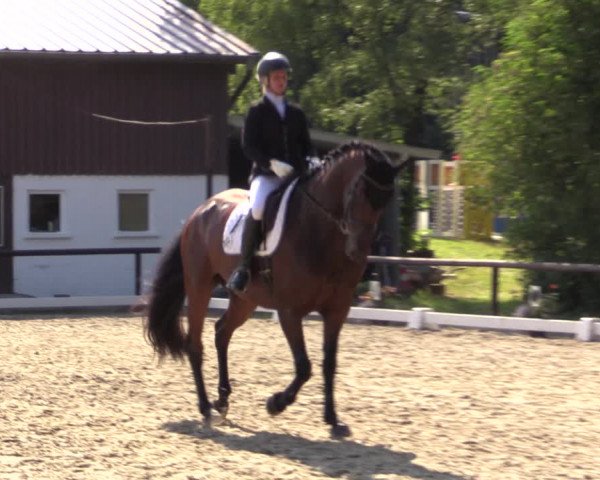 Reitturnier Marienheide-Kempershöhe 2018
