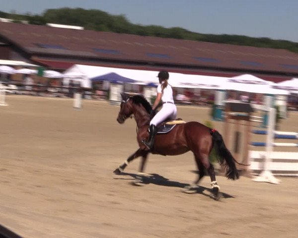Reitturnier Hemer-Oese an der Edelburg 2018