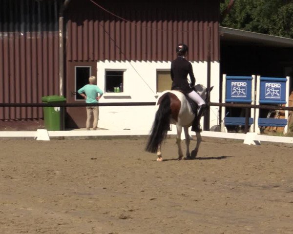 Reitturnier Marienheide-Kempershöhe 2018