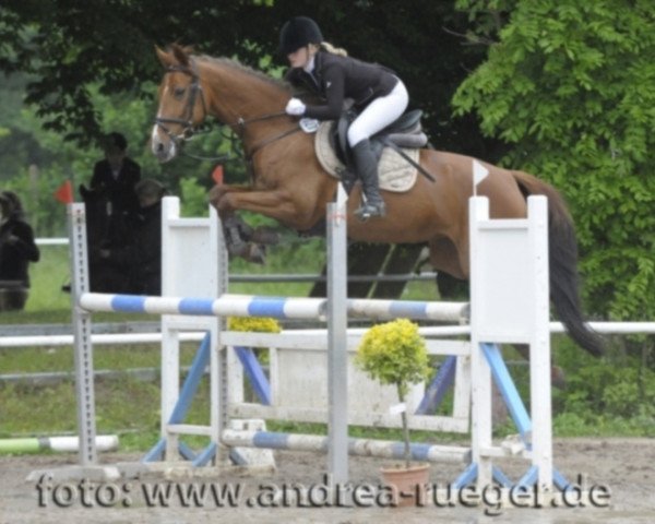 broodmare Amy (KWPN (Royal Dutch Sporthorse), 2006, from Silverstone)
