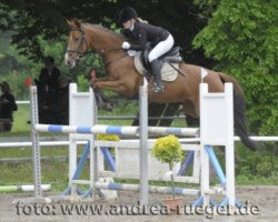 broodmare Amy (KWPN (Royal Dutch Sporthorse), 2006, from Silverstone)