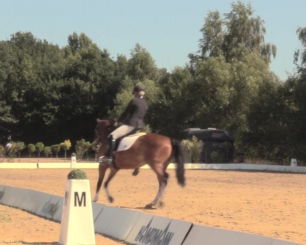 Reitturnier Wietmarschen 2018