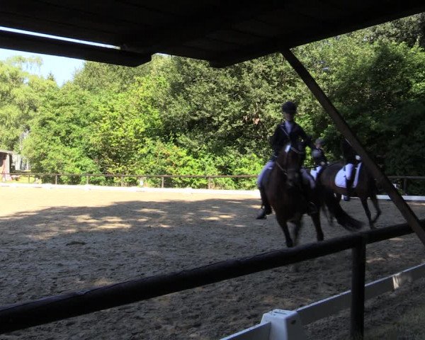 Reitturnier Marienheide-Kempershöhe 2018