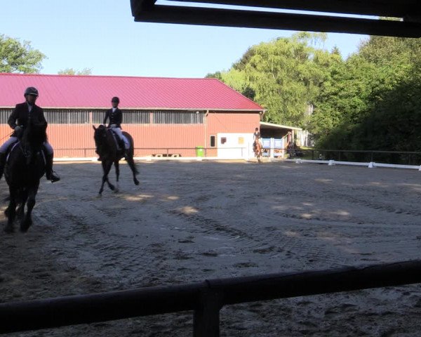 Reitturnier Marienheide-Kempershöhe 2018