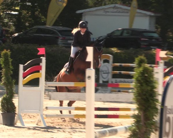 Reitturnier Vlotho-Exter 2018