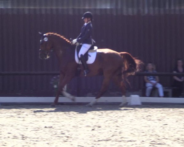 Reitturnier Marienheide-Kempershöhe 2018