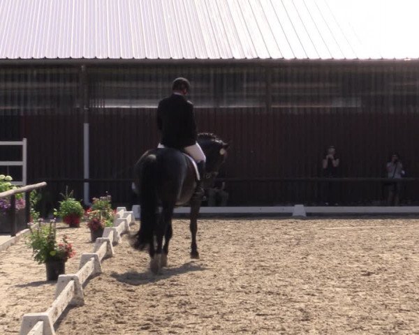 Reitturnier Marienheide-Kempershöhe 2018