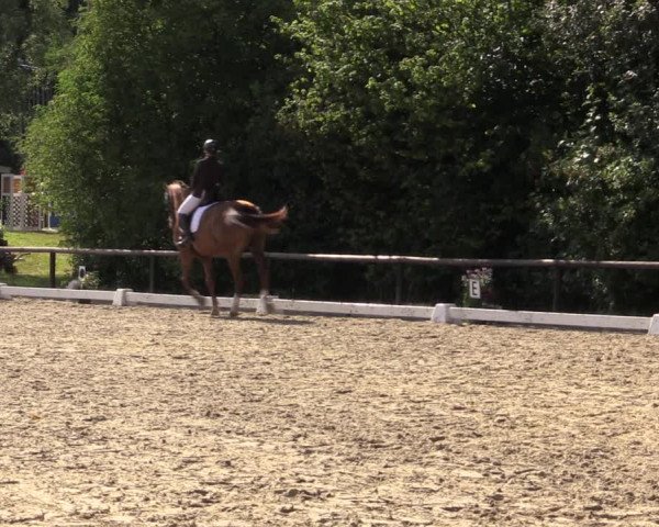Reitturnier Marienheide-Kempershöhe 2018