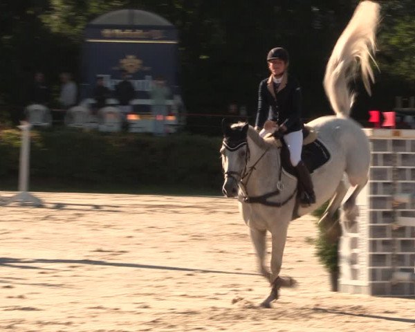 Reitturnier Vlotho-Exter 2018