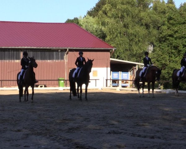 Reitturnier Marienheide-Kempershöhe 2018