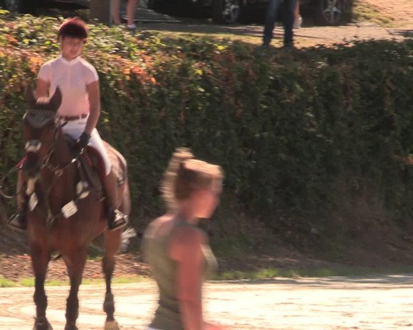 Reitturnier Vlotho-Exter 2018