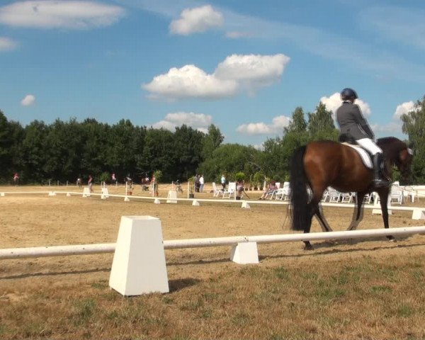 Reitturnier Wietmarschen 2018