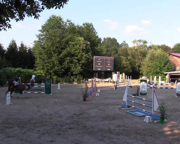 Reitturnier Marienheide-Kempershöhe 2018