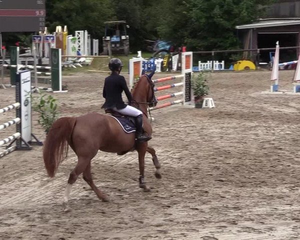 Reitturnier Marienheide-Kempershöhe 2018