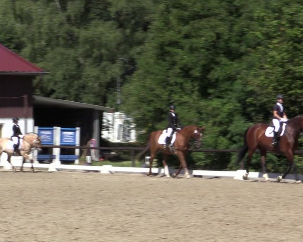 Reitturnier Marienheide-Kempershöhe 2018