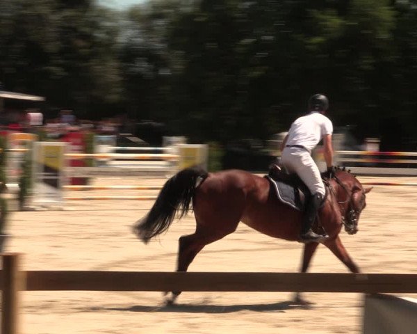 Reitturnier Vlotho-Exter 2018