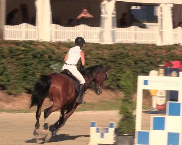 Reitturnier Vlotho-Exter 2018