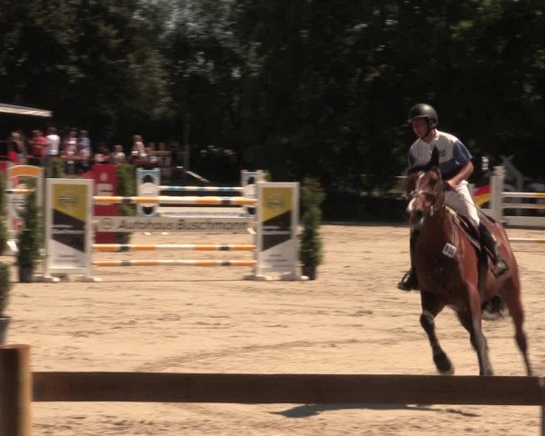 Reitturnier Vlotho-Exter 2018