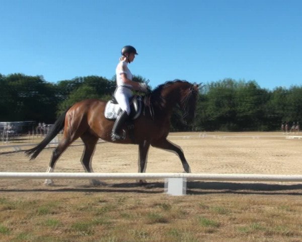 Reitturnier Wietmarschen 2018