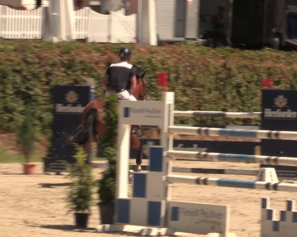 Reitturnier Vlotho-Exter 2018